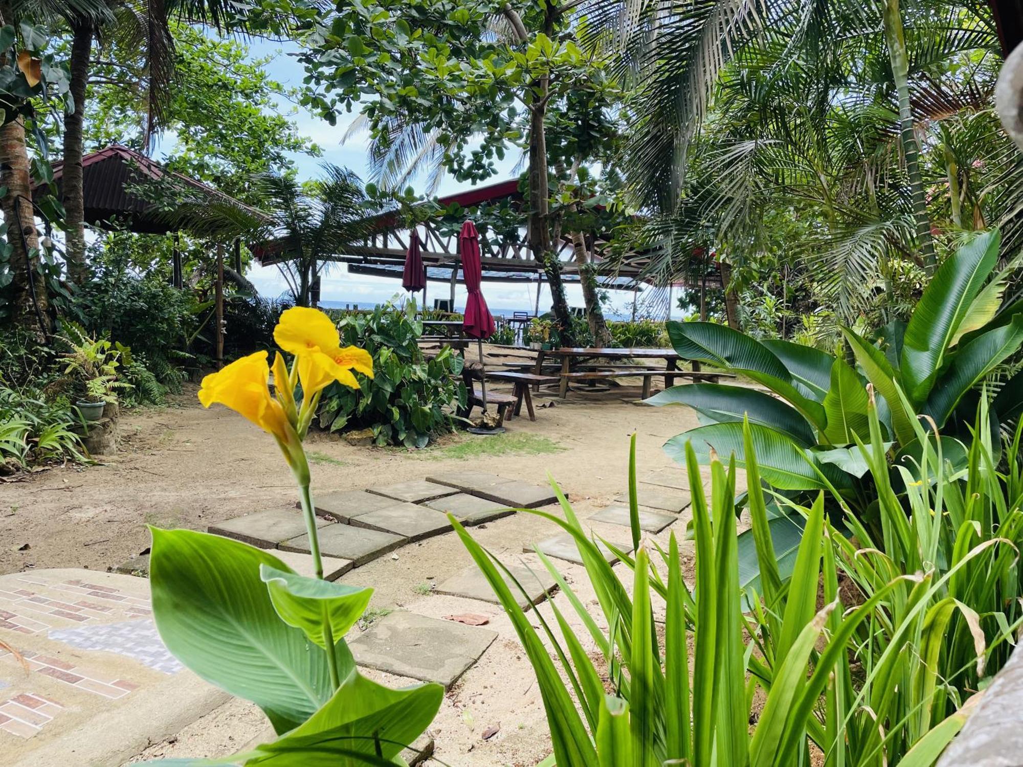 White Beach Front And Cottages Buruanga Exterior photo